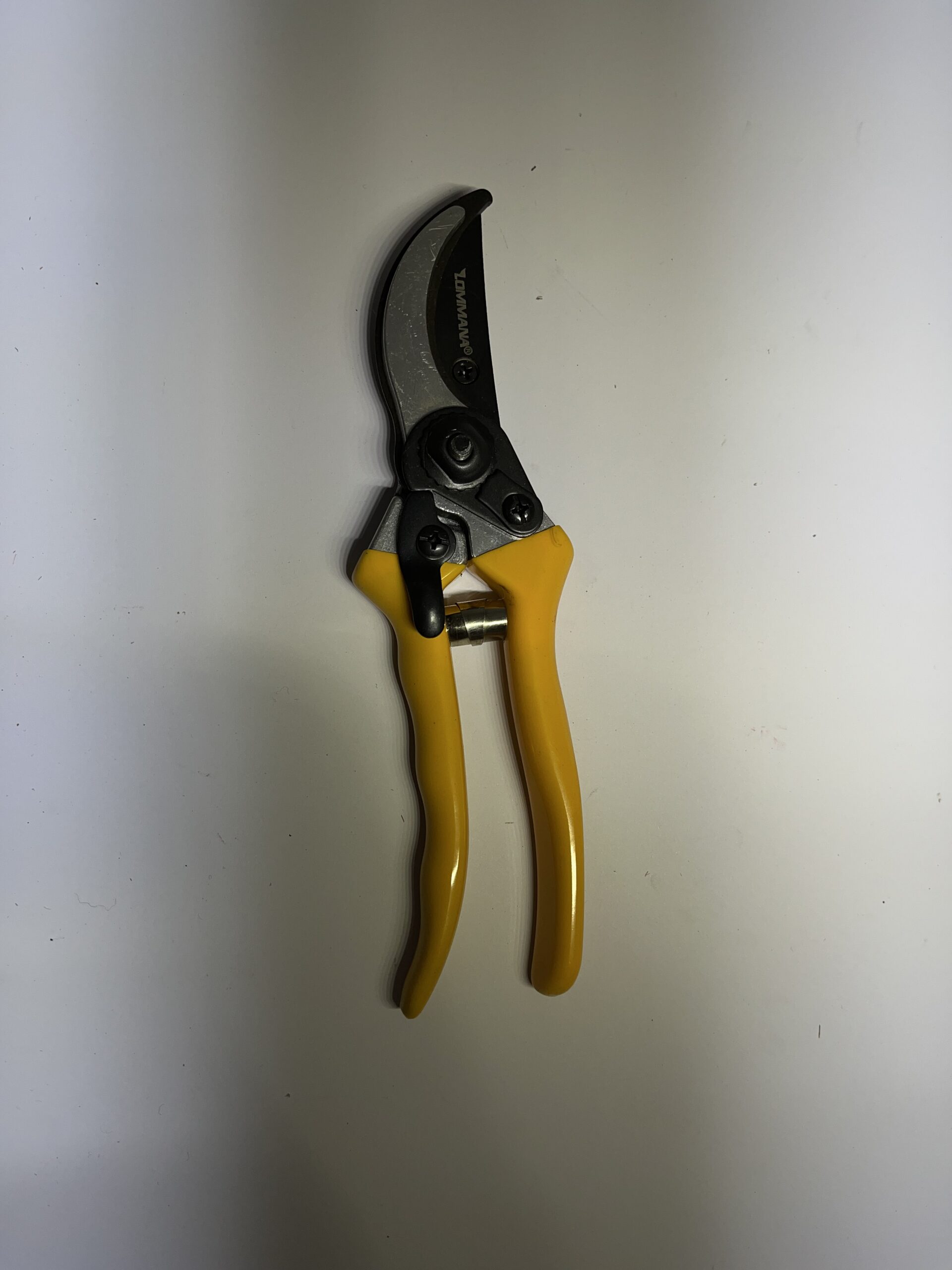 قیچی باغ لومانا