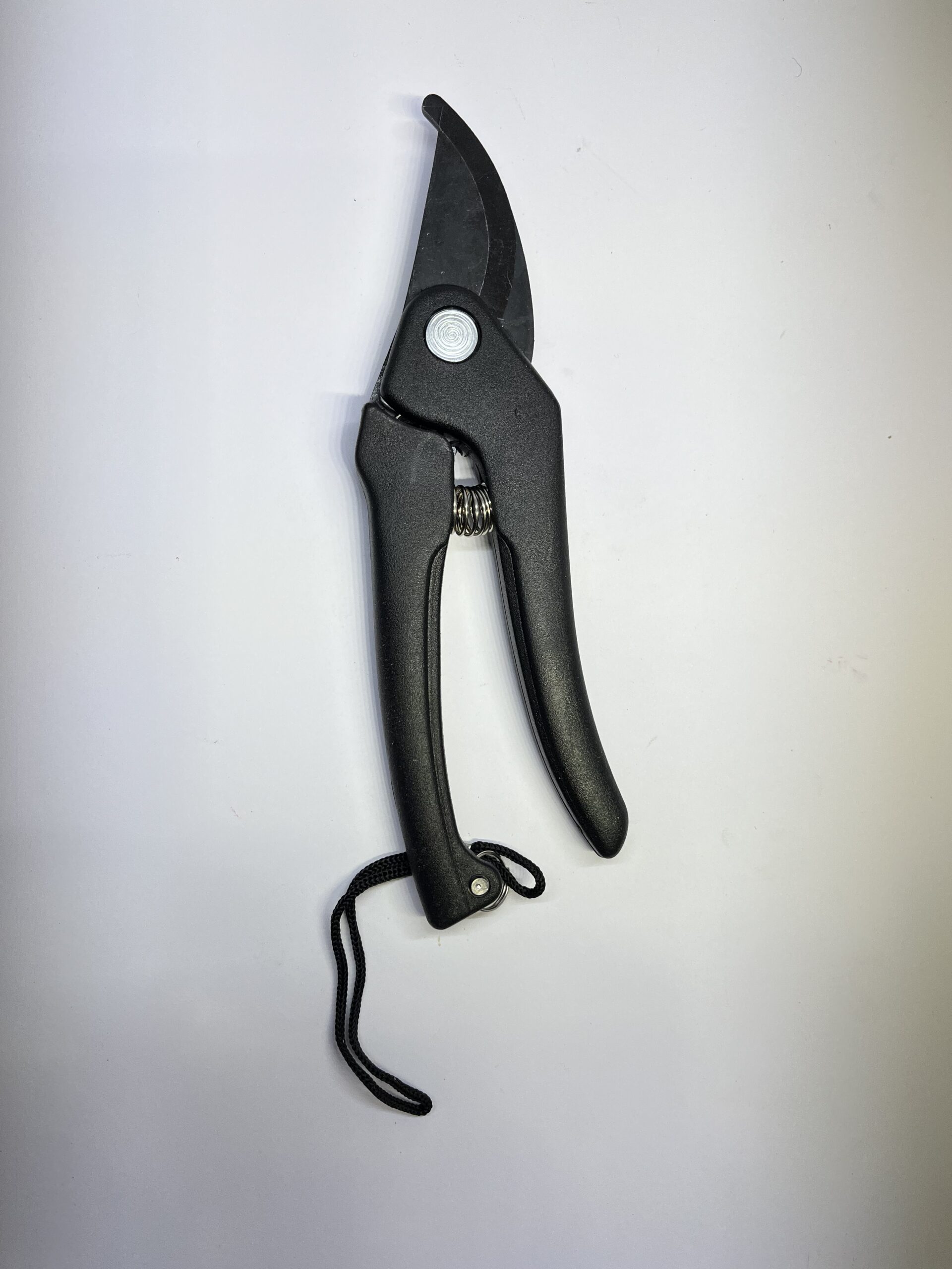 قیچی باغ چینی